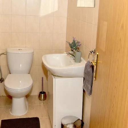 Oso Guest house